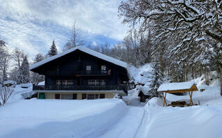 Náhled objektu Chalet L'Aube, Les Diablerets