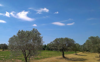 Náhled objektu Emma, Galižana