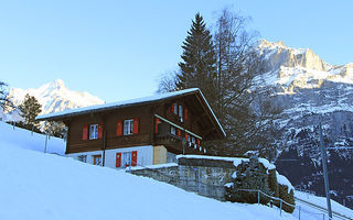 Náhled objektu Chalet Bracher, Grindelwald