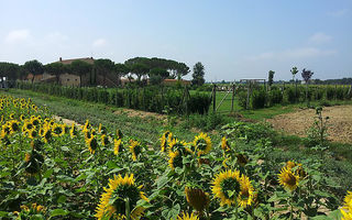 Náhled objektu Tipico Casale Toscano, Cortona