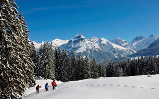 Náhled objektu Titlis Resort Wohnung 304 Family, Engelberg