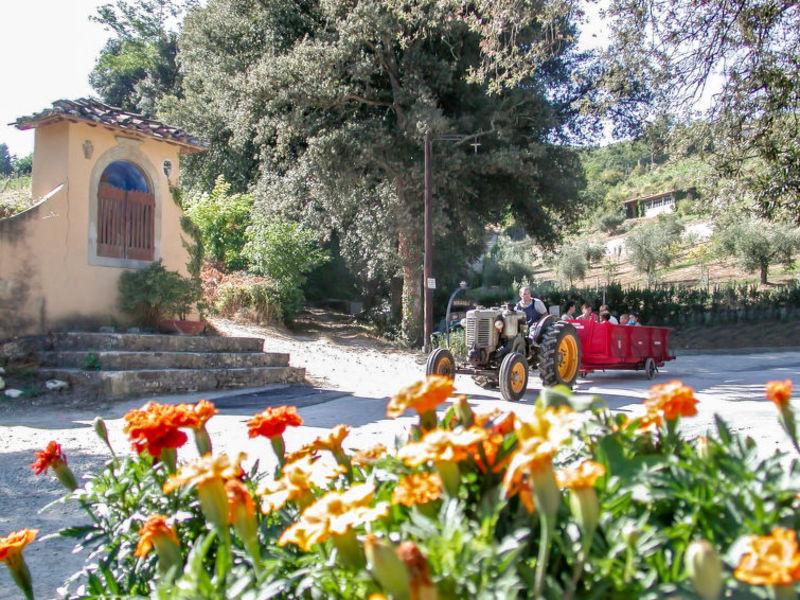 Fattoria Di Castiglionchio