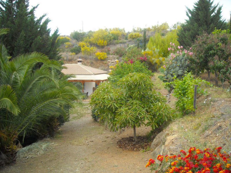 Finca Trigueros - Casa Palmito