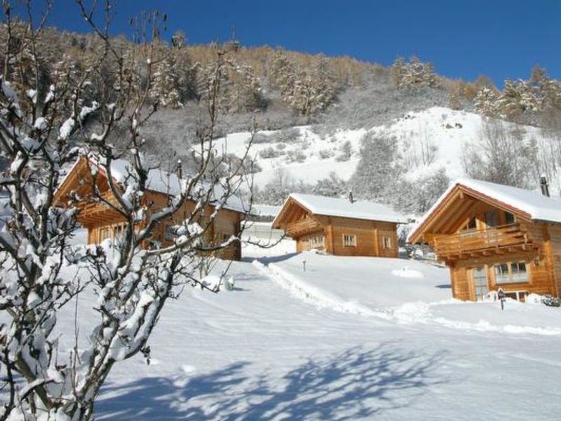 Ferienhaus Chalets Trafögl