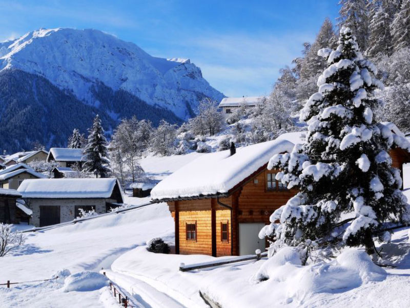 Ferienhaus Chalets Trafögl