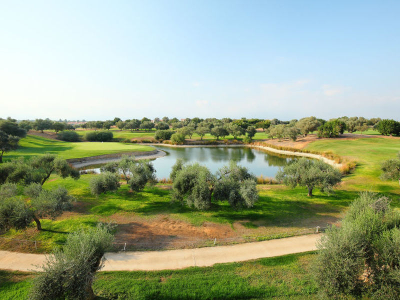 Panoramica Sant Jorge