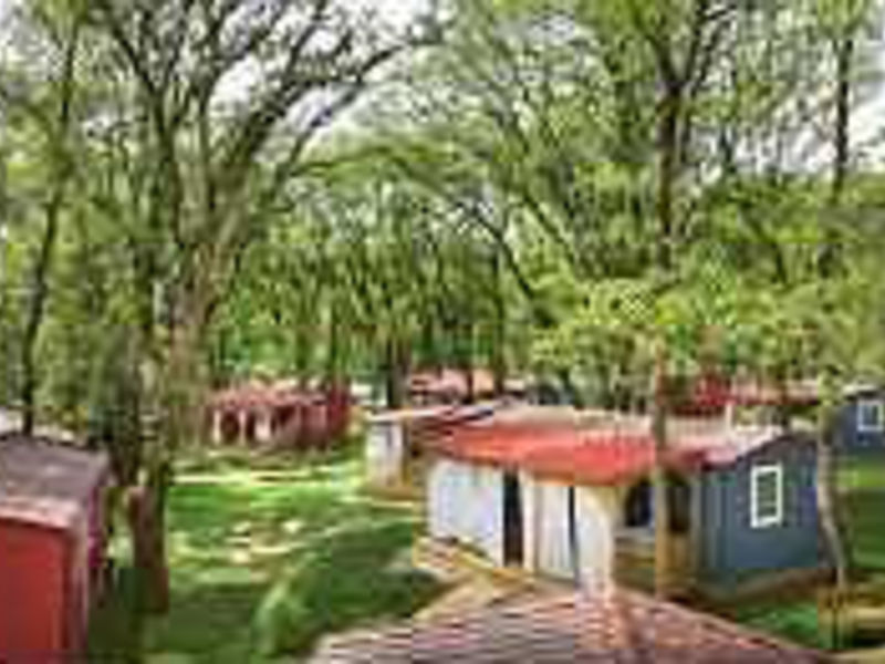 Aminess RELAX Village - Holiday Homes Park Mareda Campsite