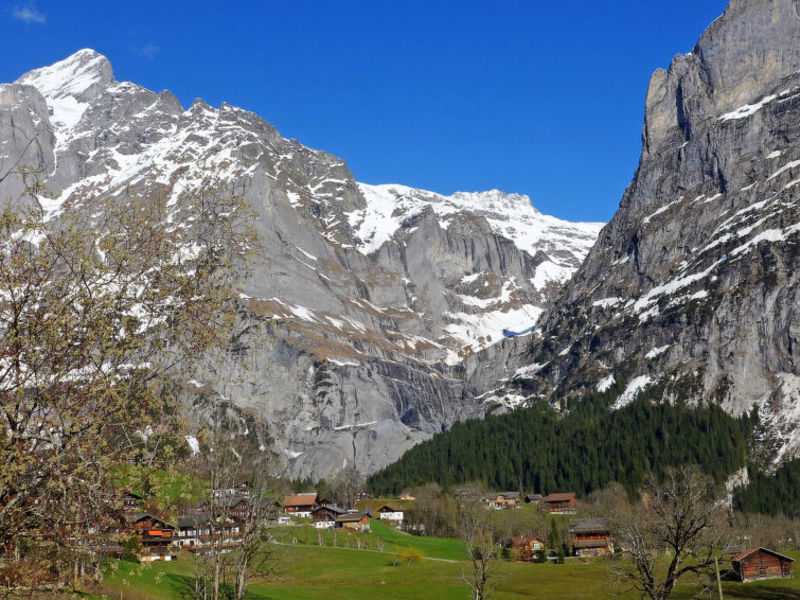 Chalet Bärglistock