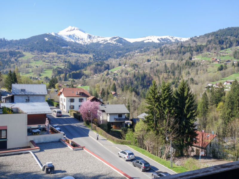 Fleurs Des Alpes