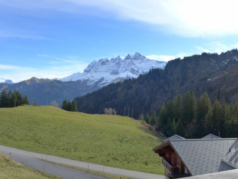 Le Hameau Des Crosets