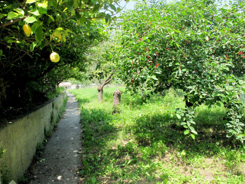 Cantina Delle Botti