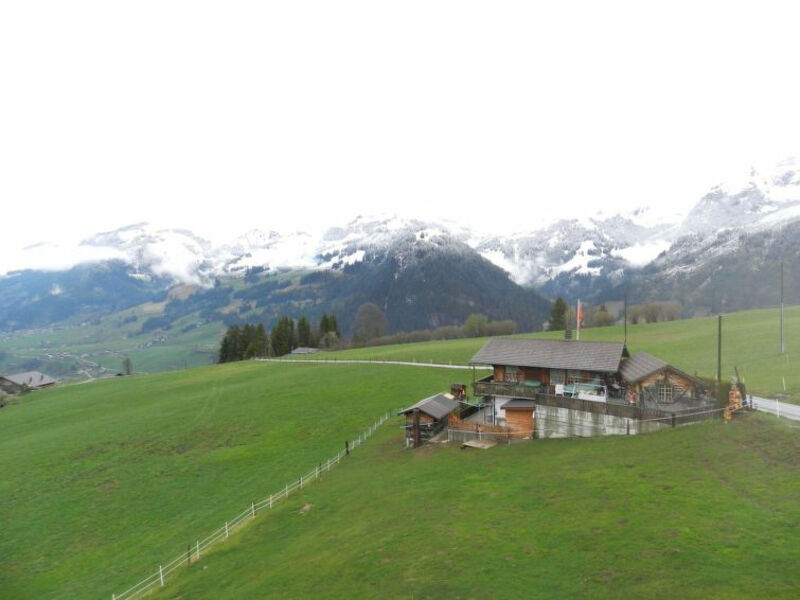 Panorama, Chalet