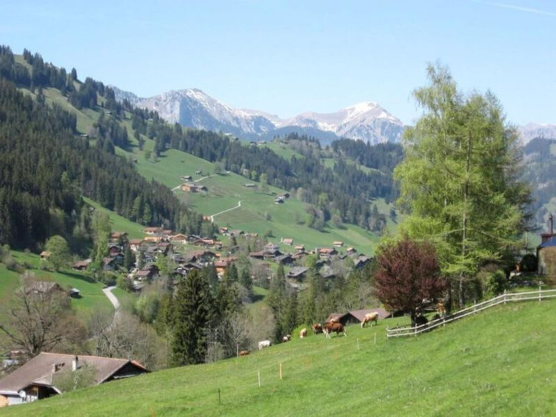 Altenried, Chalet