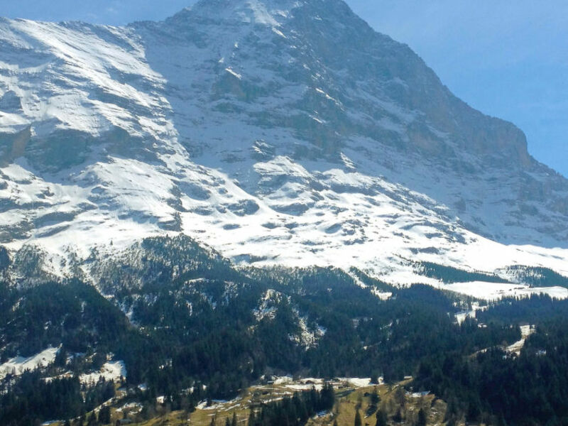 Mittelhorn