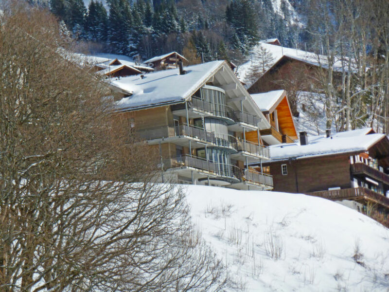 Chalet Silence