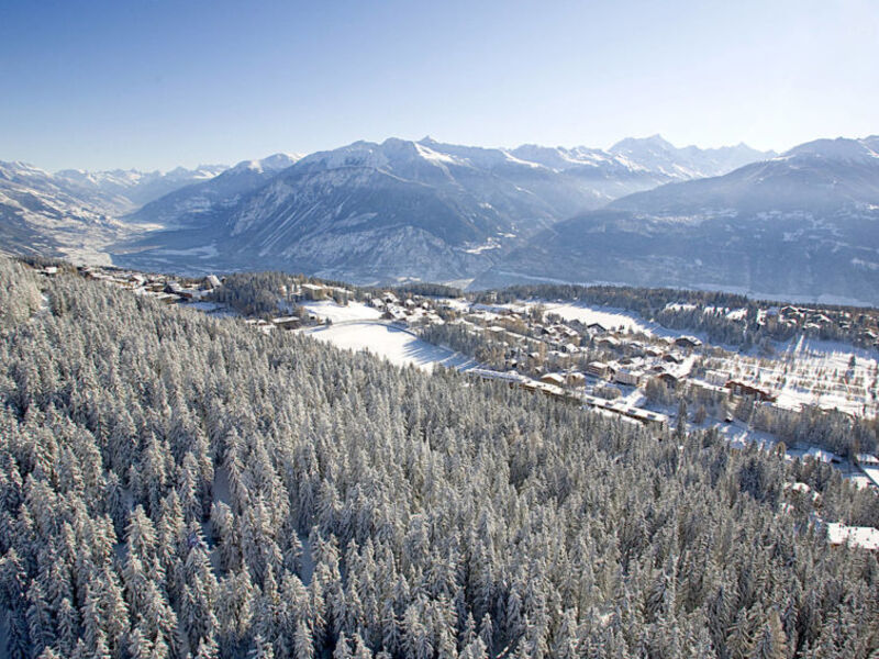 Chalet Bouton D'Or