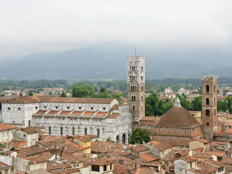 Poggio Delle Rose