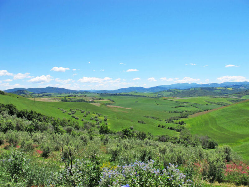 Podere Santa Cristina