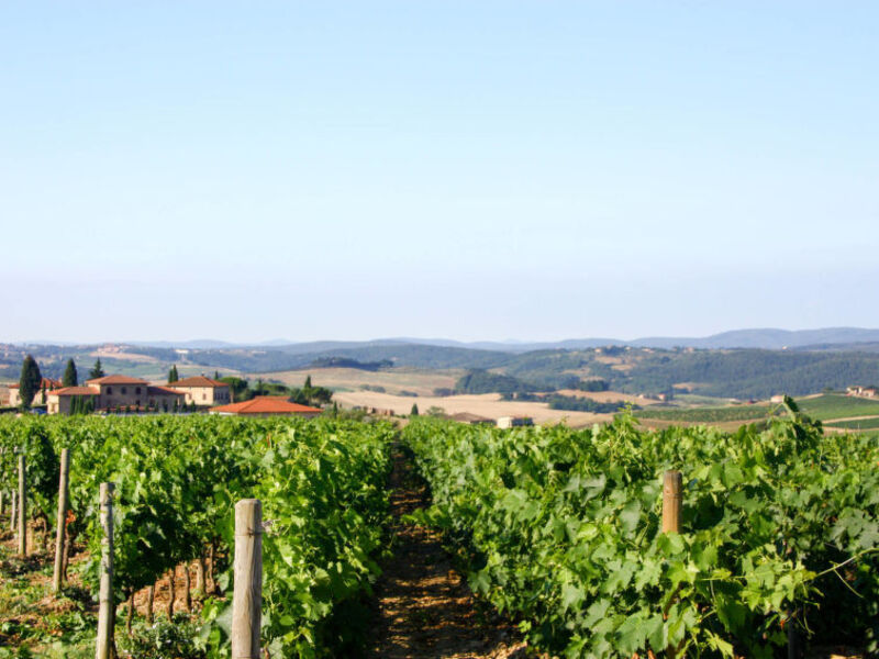 Tenuta Le Gallozzole