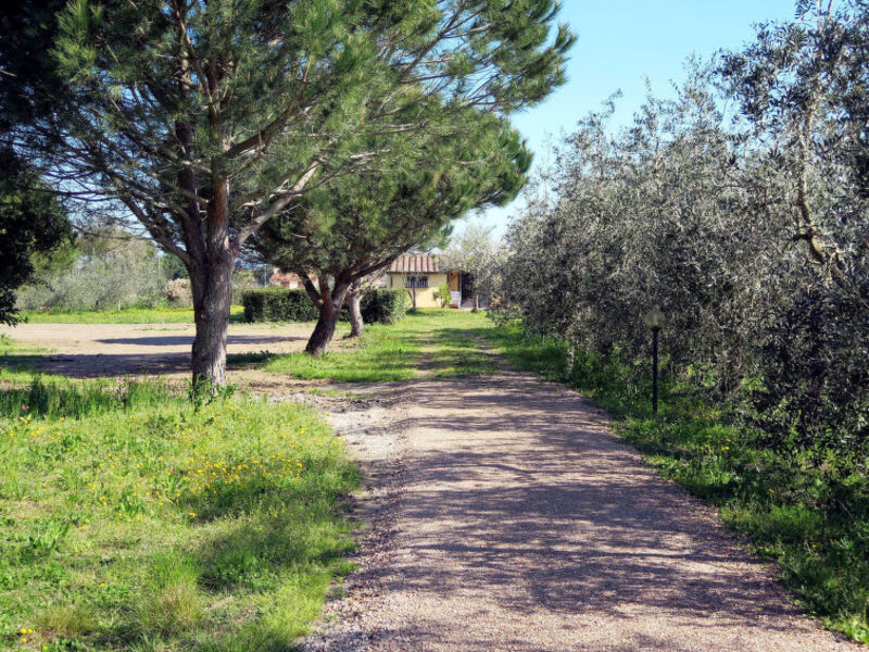 Podere Conte Gherardo