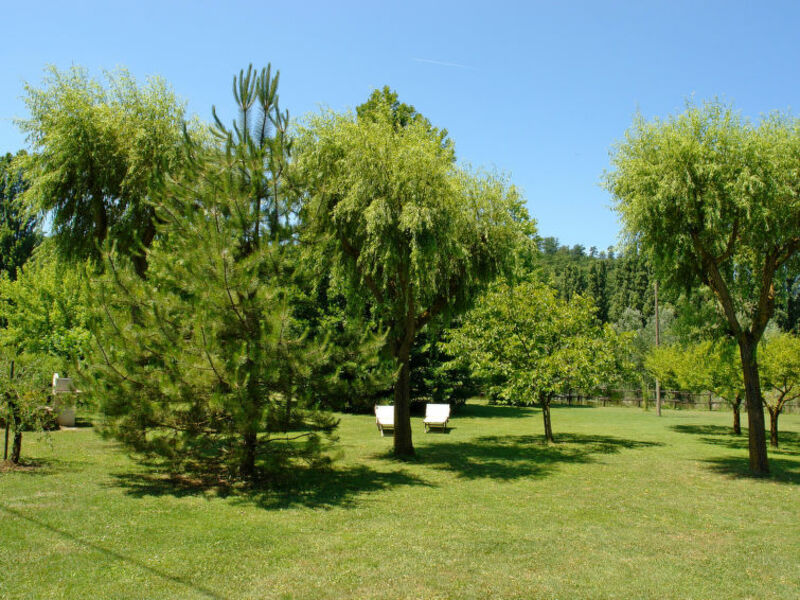 Il Podere Di Marti