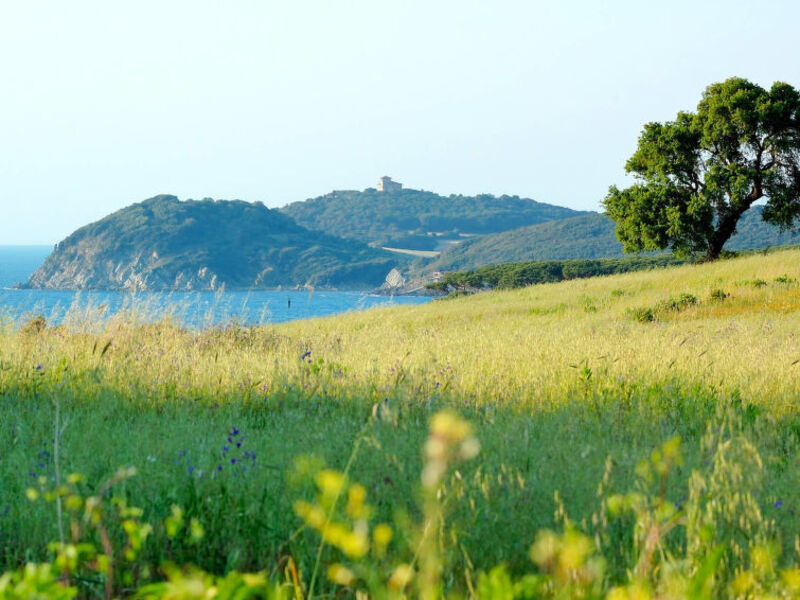 Poggio All'Agnello