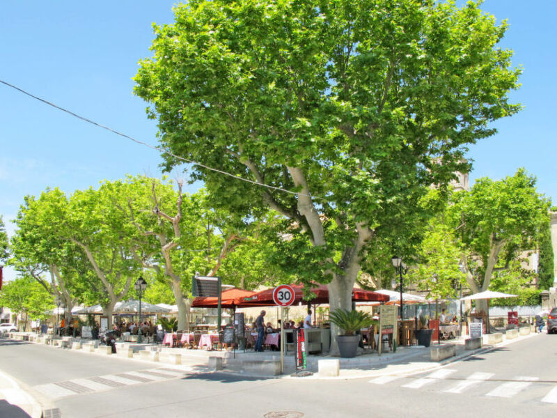 Domaine De Bourgeac