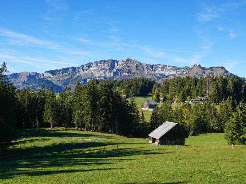 Chalet Gschwend