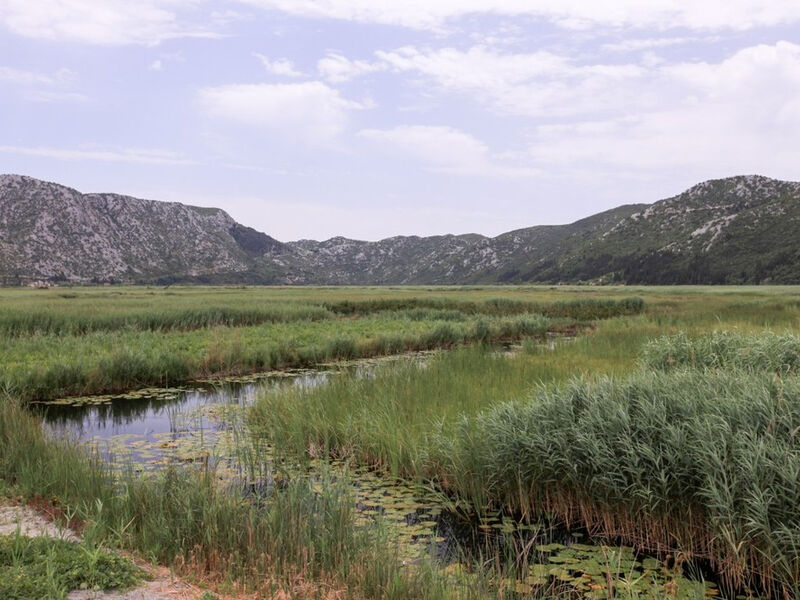 Robinzonáda Neretva