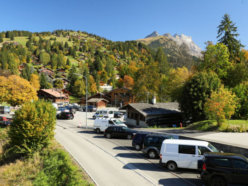 Route Des Renards