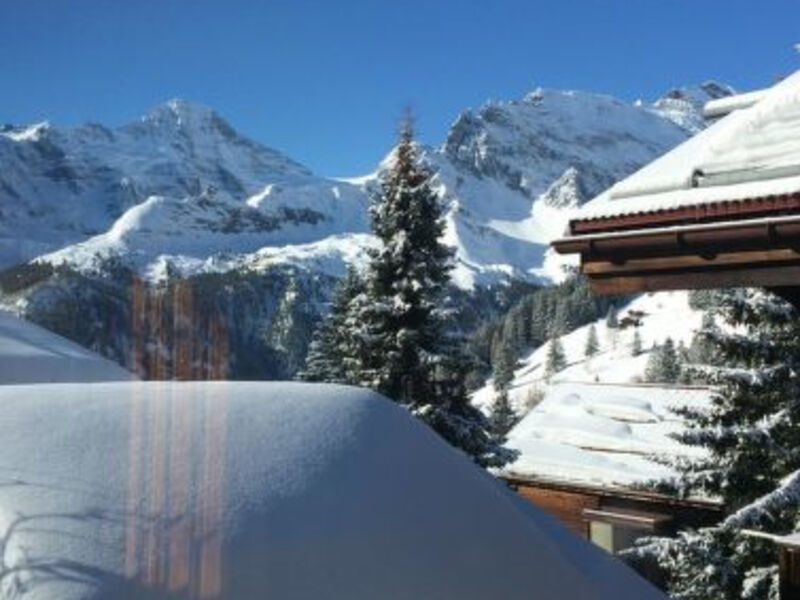 Chalet Alpenblick