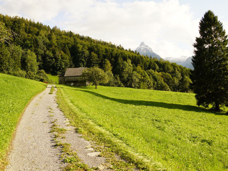 Chalet Biodola