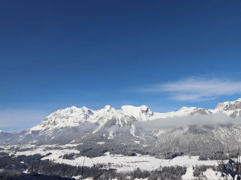 Alpenchalets Reiteralm