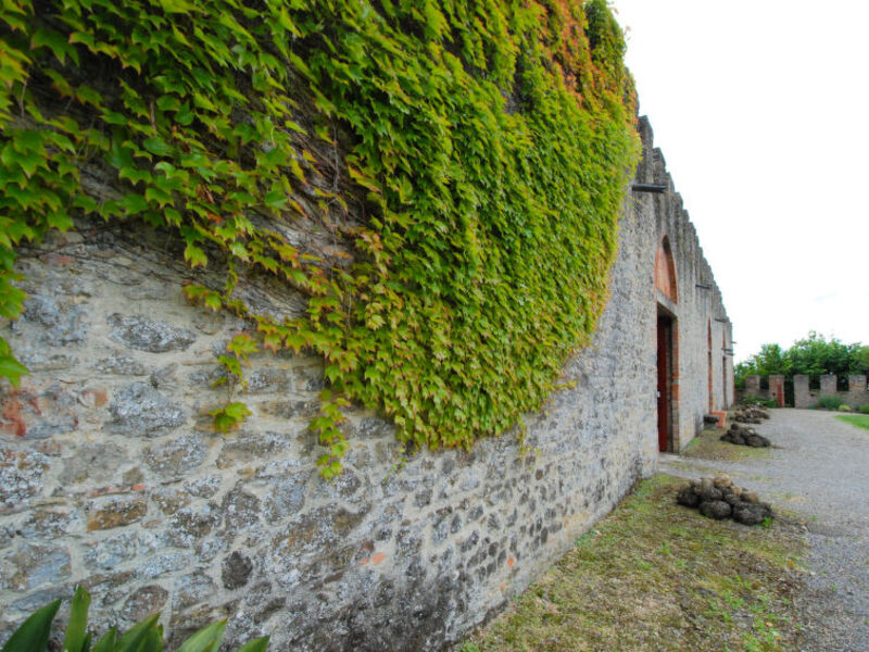 Castello Di Magnano