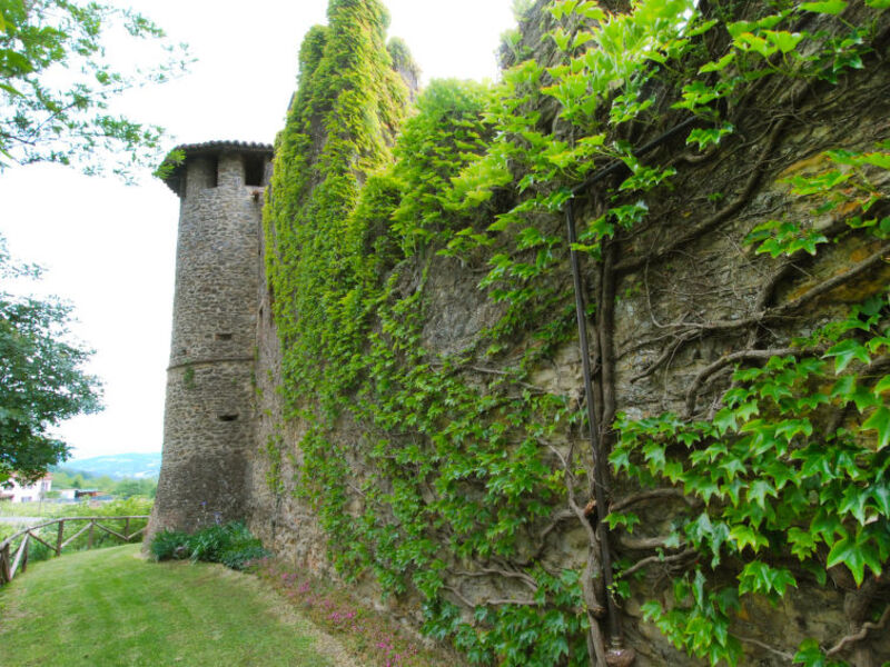 Castello Di Magnano