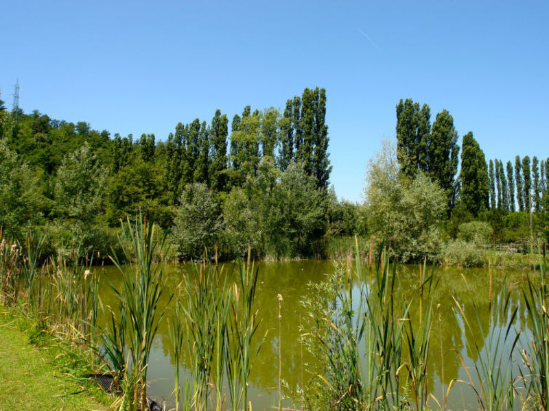 Il Podere Di Marti