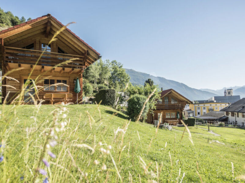 Ferienhaus Chalets Trafögl