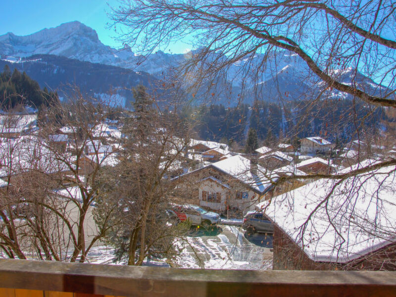 Chalet Chardonneret