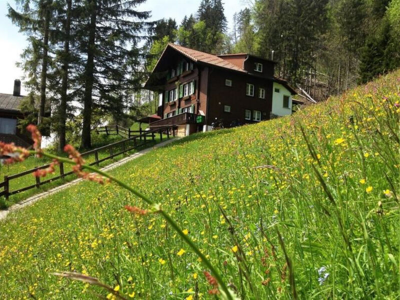 Chalet Sonnenheim