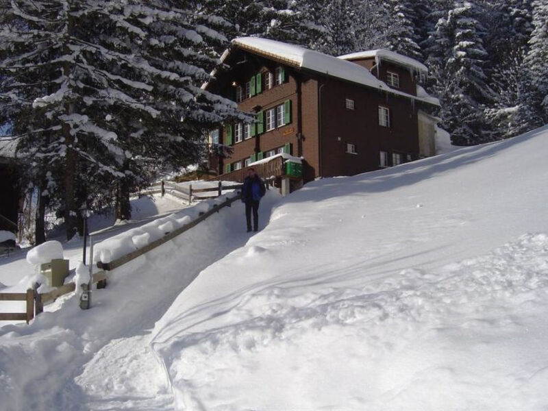 Chalet Sonnenheim