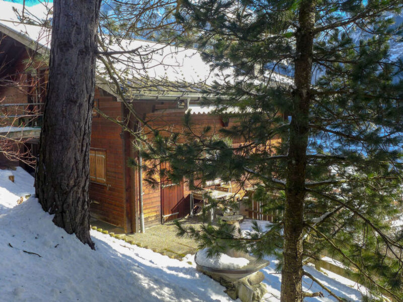 Chalet Ahorn