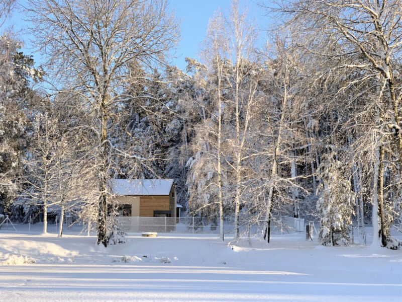 Cosy Tiny House