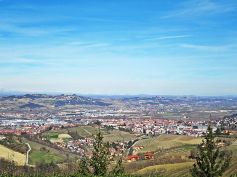 Tenuta La Pineta