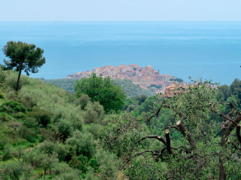 Agriturismo Le Colle