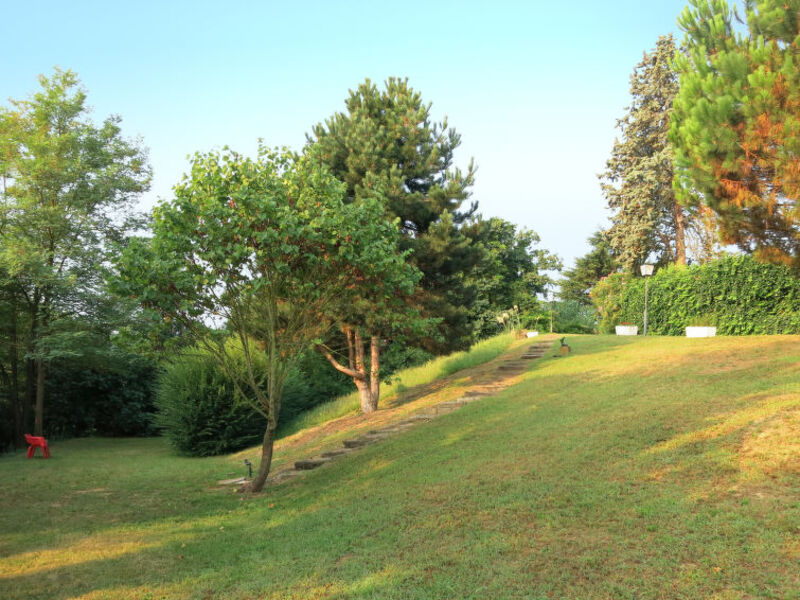 Nella Vecchia Fattoria