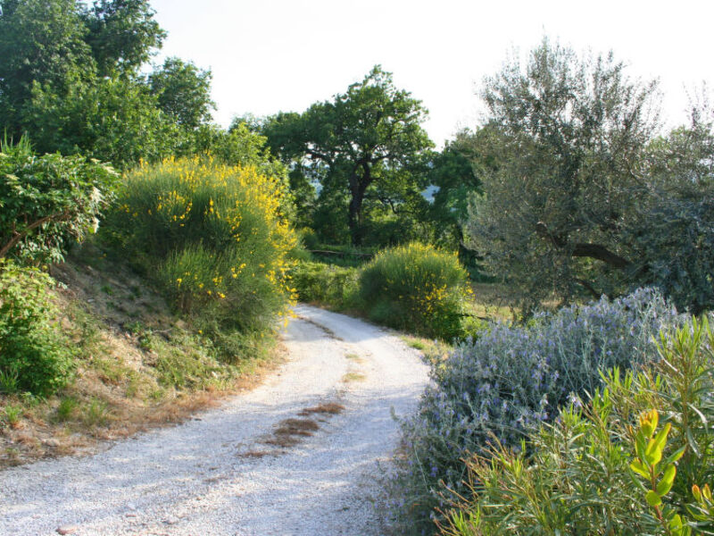 Casa Mare Gabicce