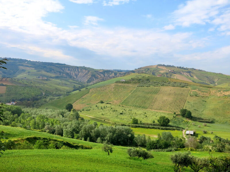 Casa I Due Carpini