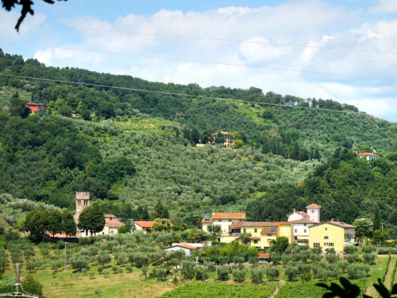 Rustico Gino