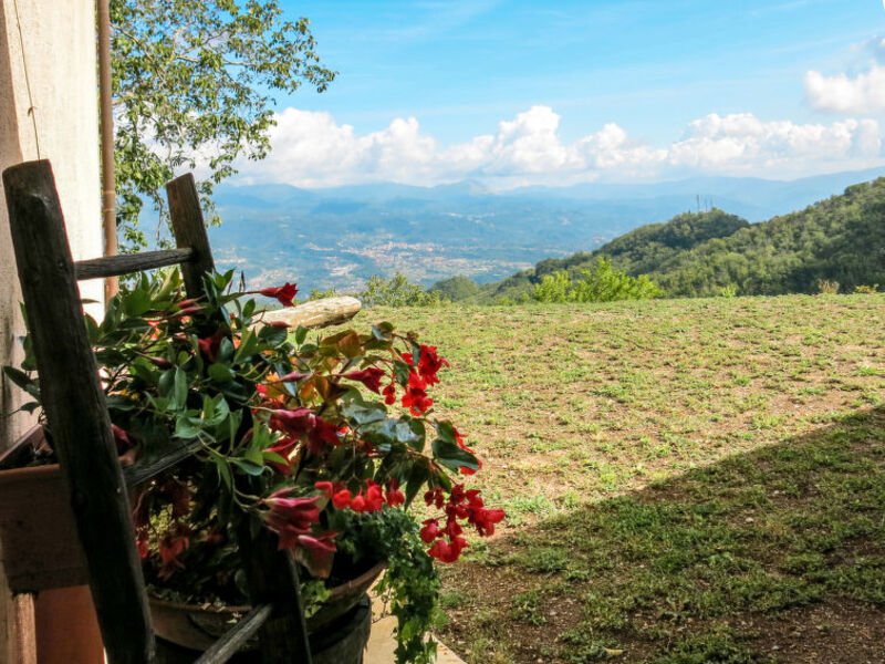 Az. Agrituristica Le Bore