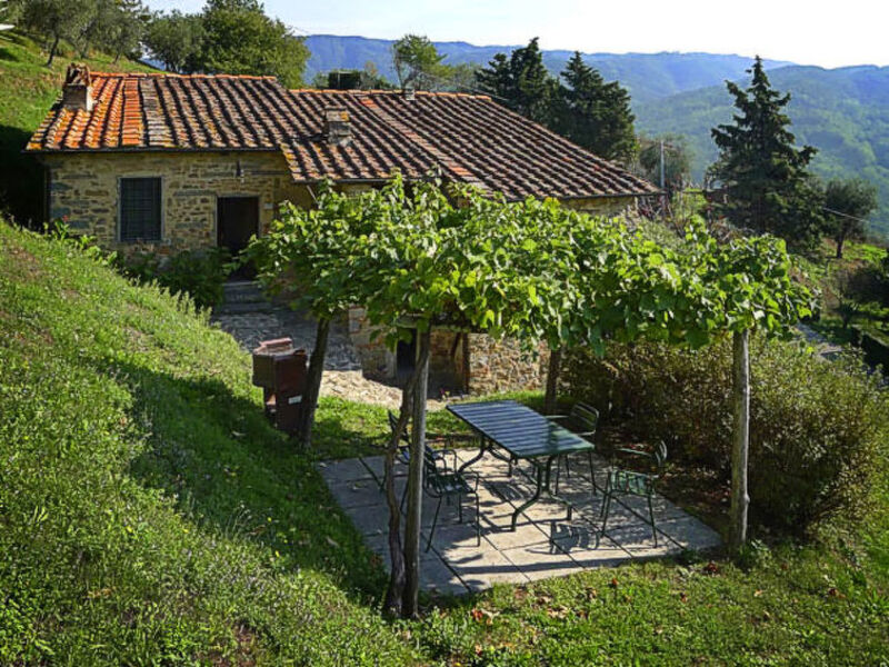 Fattoria Di Pietrabuona